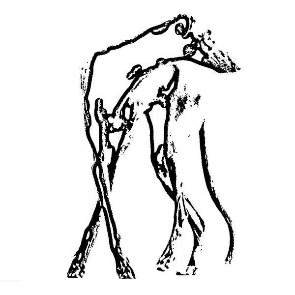greyhound audio logo — a line drawing of a greyhound